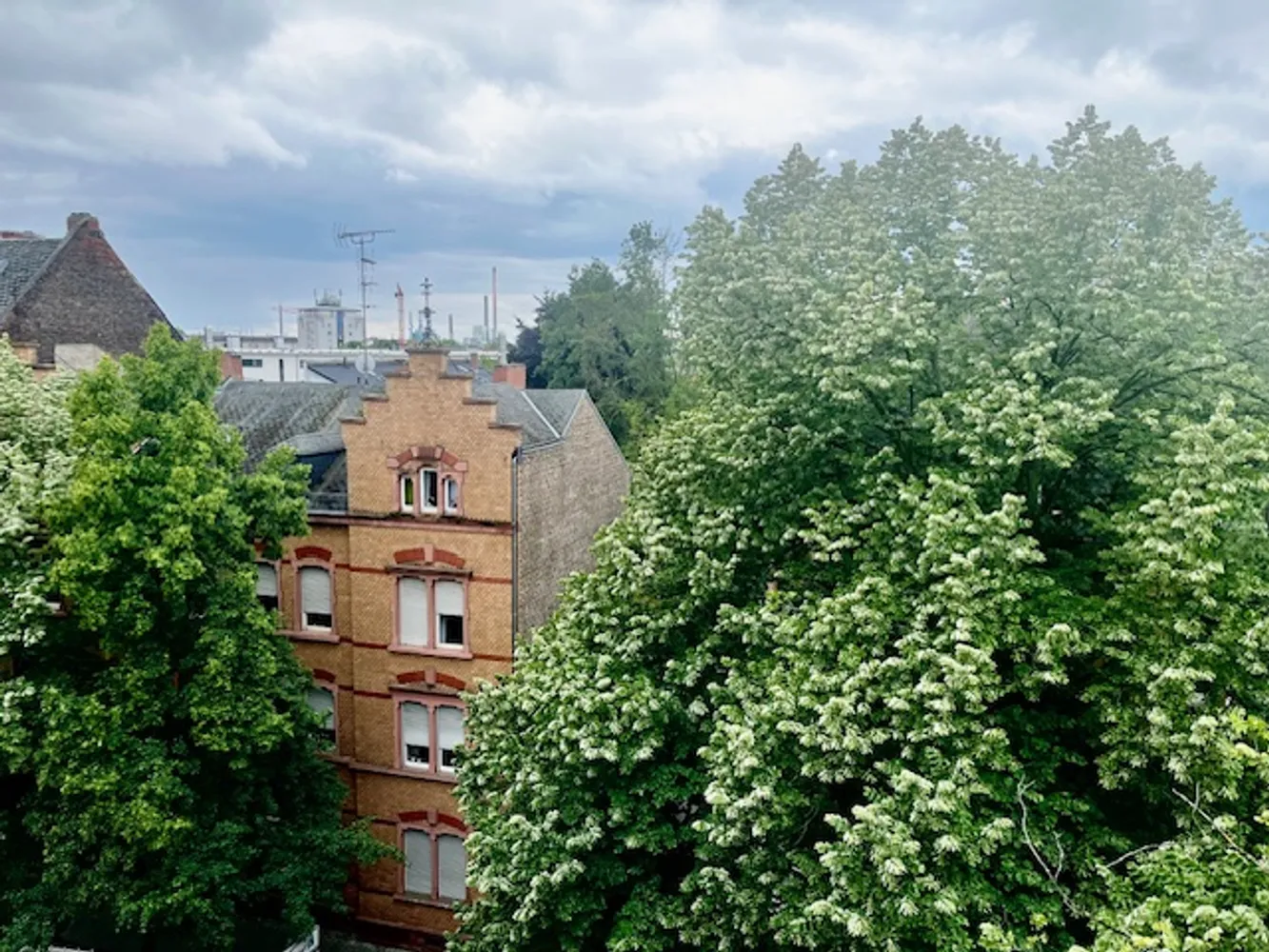 5 Zimmer Wohnung mit 120 m² in Frankfurt am Main – Bild 3