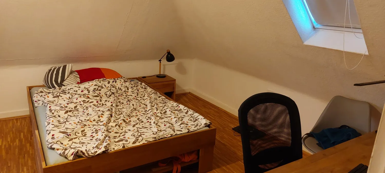 1 room apartment with 238 m² in Wiesbaden – Photo 3