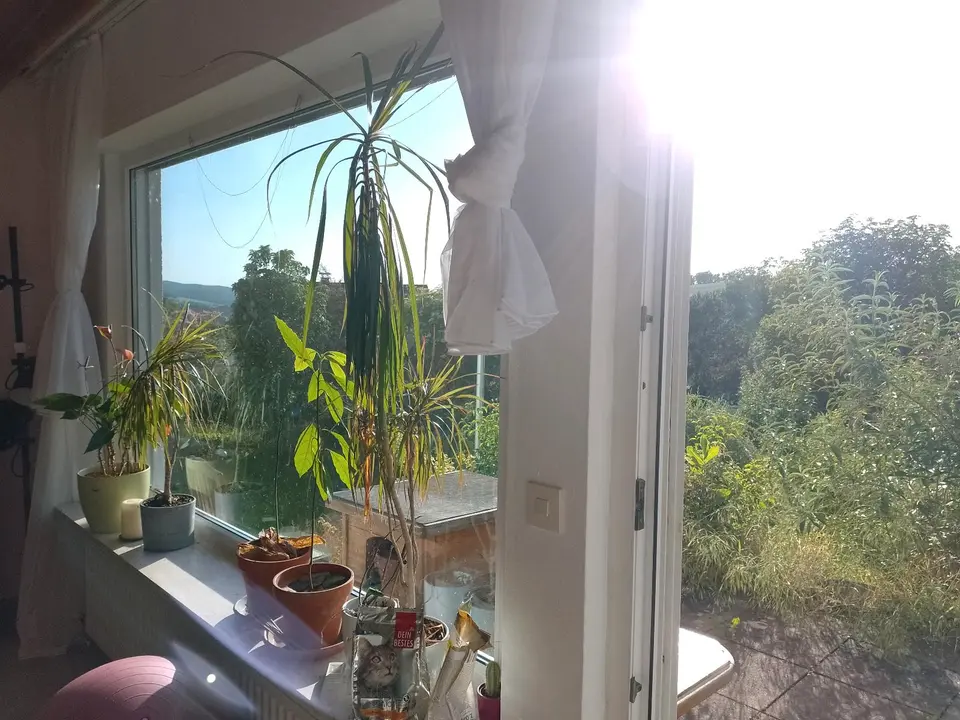 4 Zimmer Haus mit 90 m² in Koblenz – Bild 5