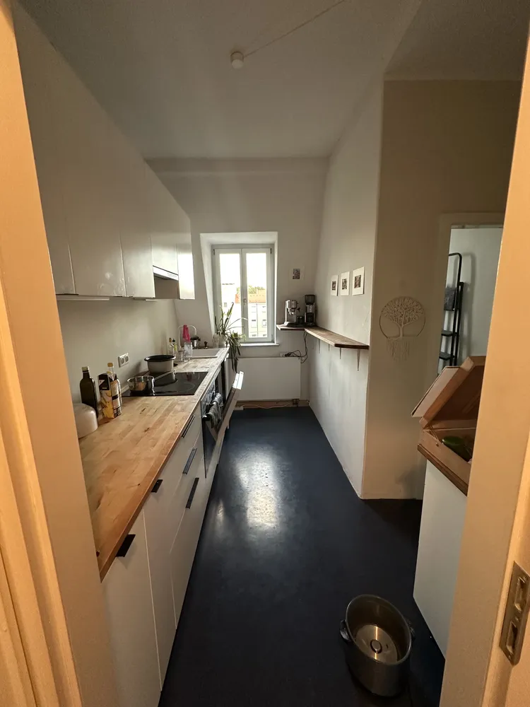 2 room apartment with 59 m² in Dresden – Photo 7