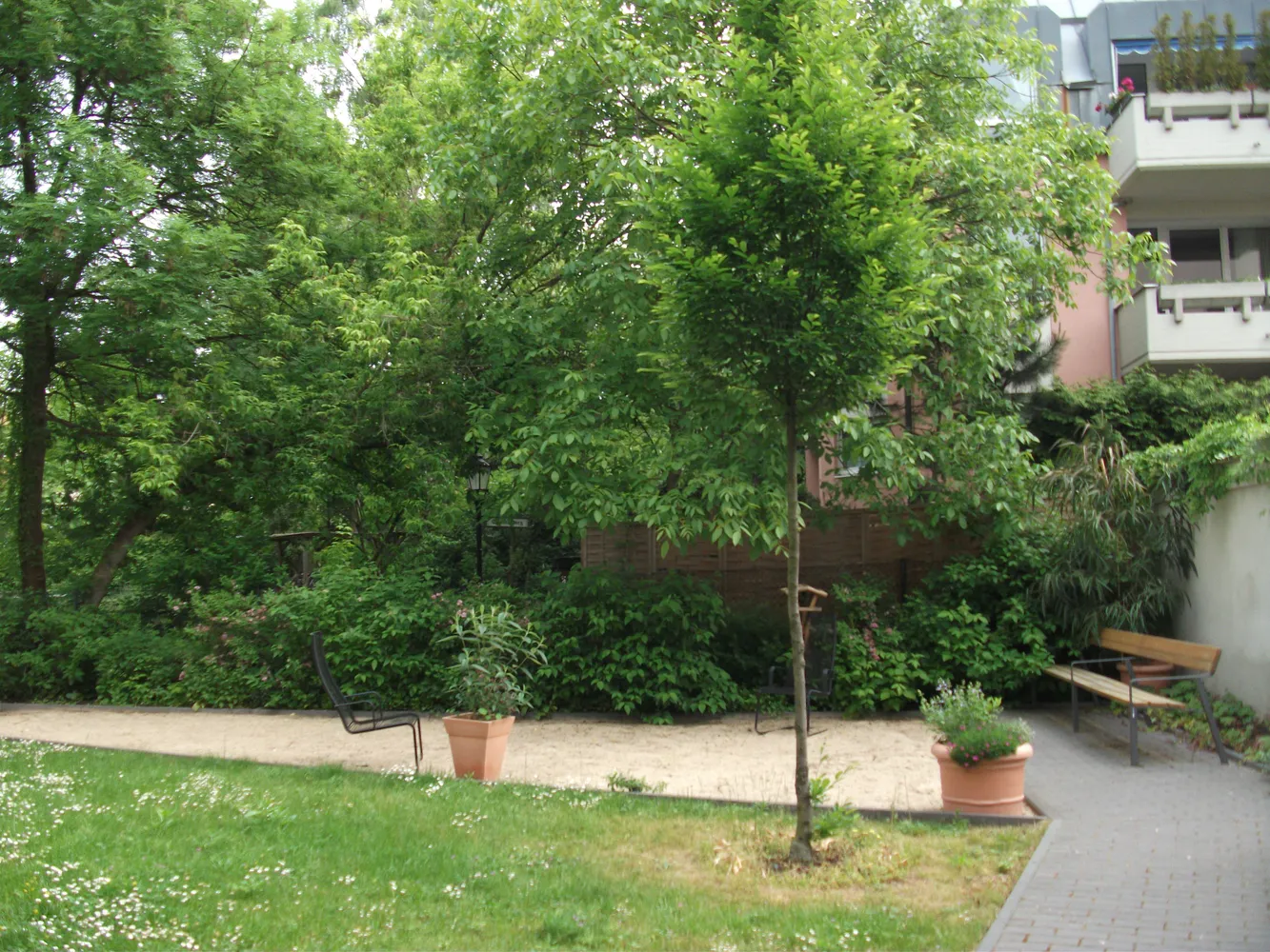 3 room apartment with 125 m² in Berlin – Photo 4