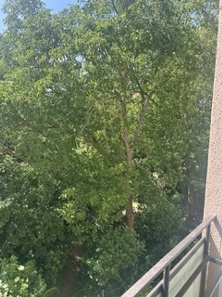 2 Zimmer Wohnung mit 60 m² in Braunschweig – Bild 11