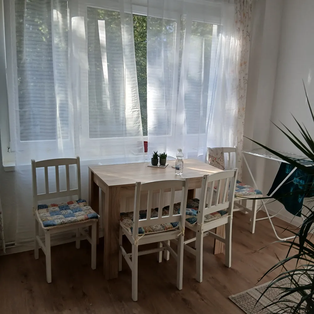 1 room apartment with 45 m² in Magdeburg – Photo 3