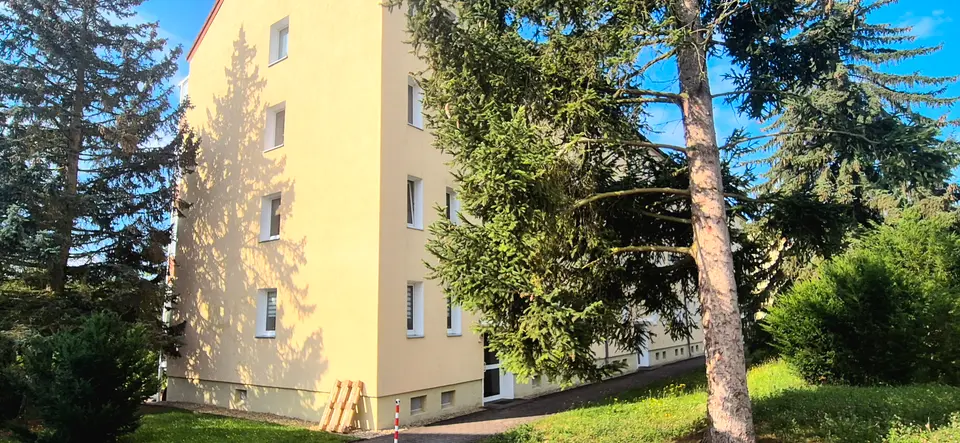 2 Zimmer Wohnung mit 49 m² in Crimmitschau – Bild 4