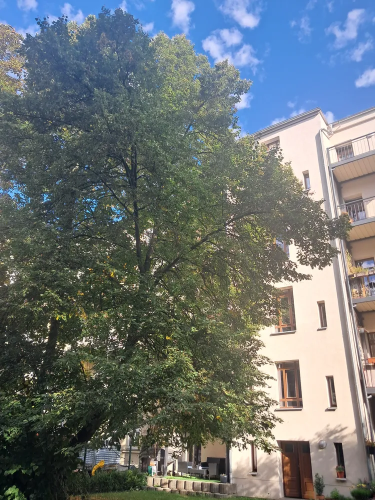 2 Zimmer Wohnung mit 57 m² in Leipzig – Bild 11
