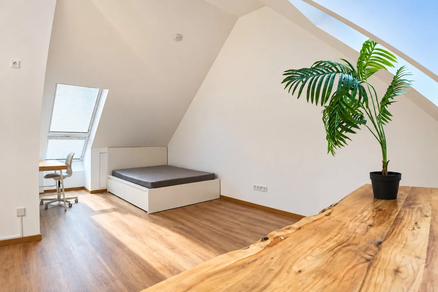 1 Zimmer Wohnung mit 32 m² in Frankfurt am Main – Bild 2