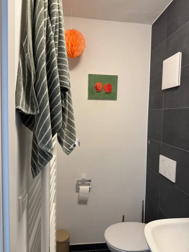WG-Zimmer mit 100 m² in Passau – Bild 8