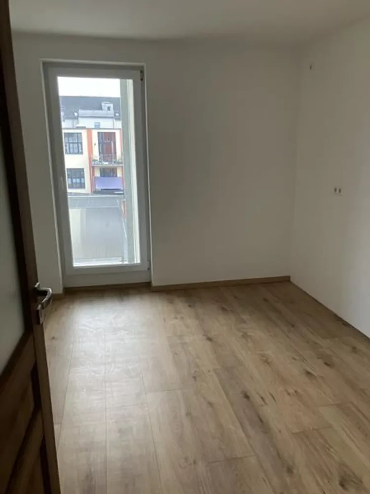 2 room apartment with 60 m² in Chemnitz – Photo 3