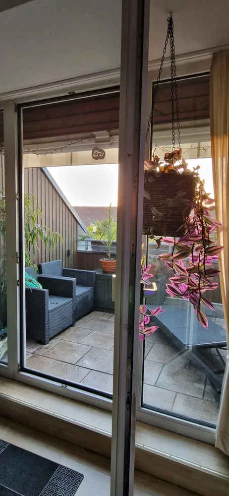 2 Zimmer Wohnung mit 65 m² in Berlin – Bild 6