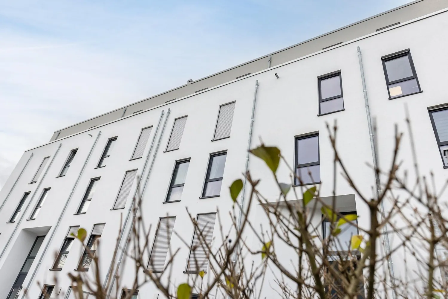 3 Zimmer Wohnung mit 142 m² in Köln – Bild 2