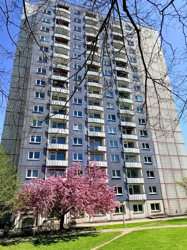 1 Zimmer Wohnung mit 27 m² in Dresden – Bild 1