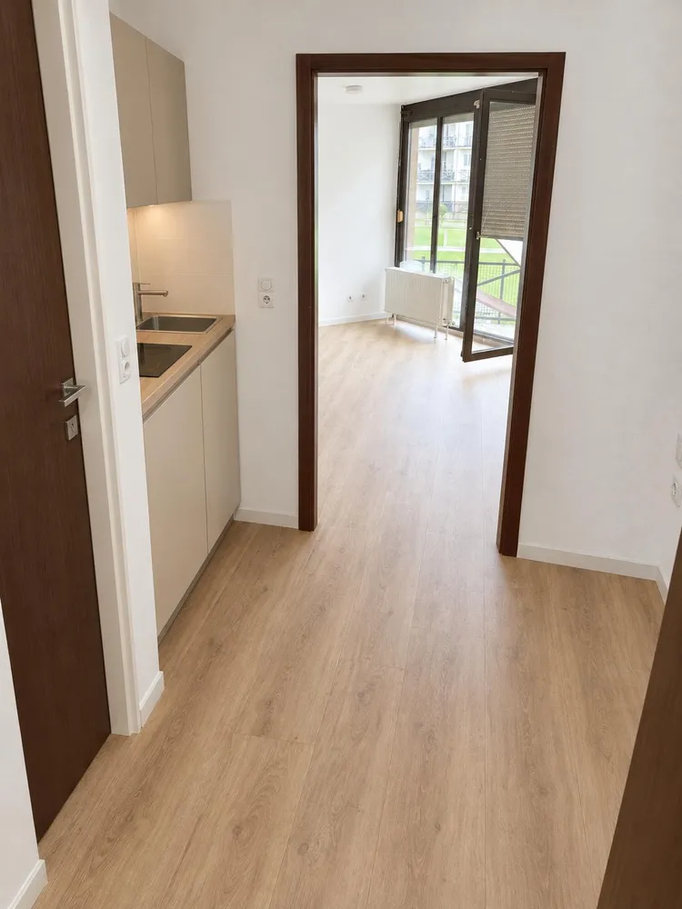 1 Zimmer Wohnung mit 27 m² in Gießen – Bild 1