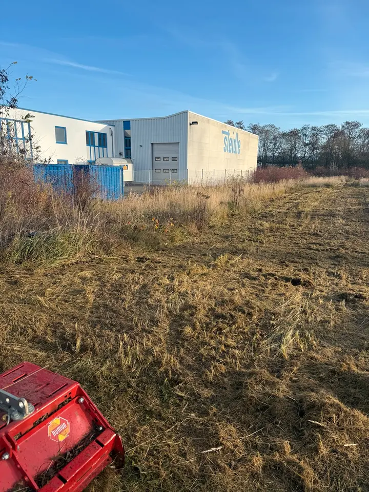 4 Zimmer Wohnung mit 80 m² in Bitterfeld-Wolfen – Bild 8