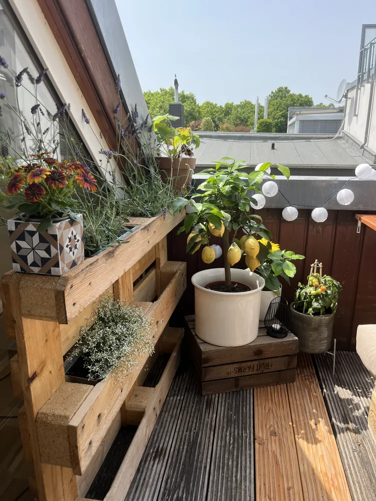2 Zimmer Wohnung mit 70 m² in Düsseldorf – Bild 11