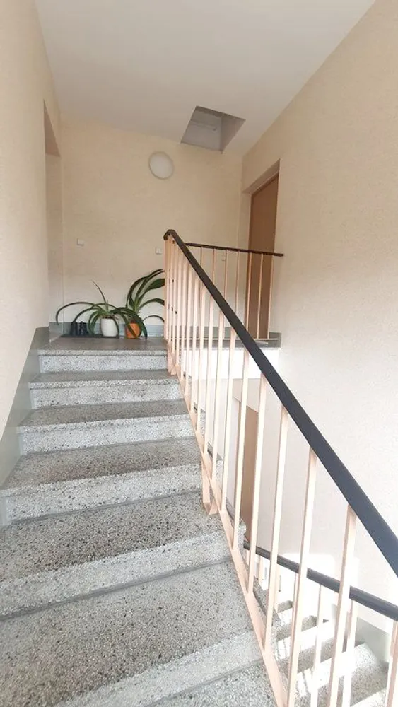 2 Zimmer Wohnung mit 49 m² in Chemnitz – Bild 5