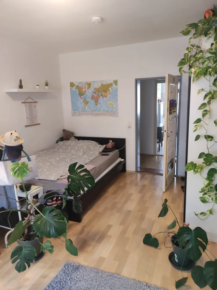 4 Zimmer Wohnung mit 77 m² in Braunschweig – Bild 1
