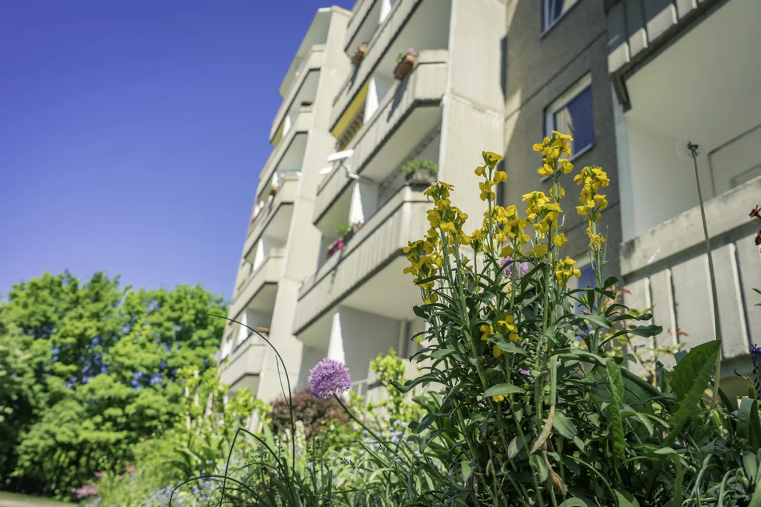 3 Zimmer Wohnung mit 55 m² in Chemnitz – Bild 4