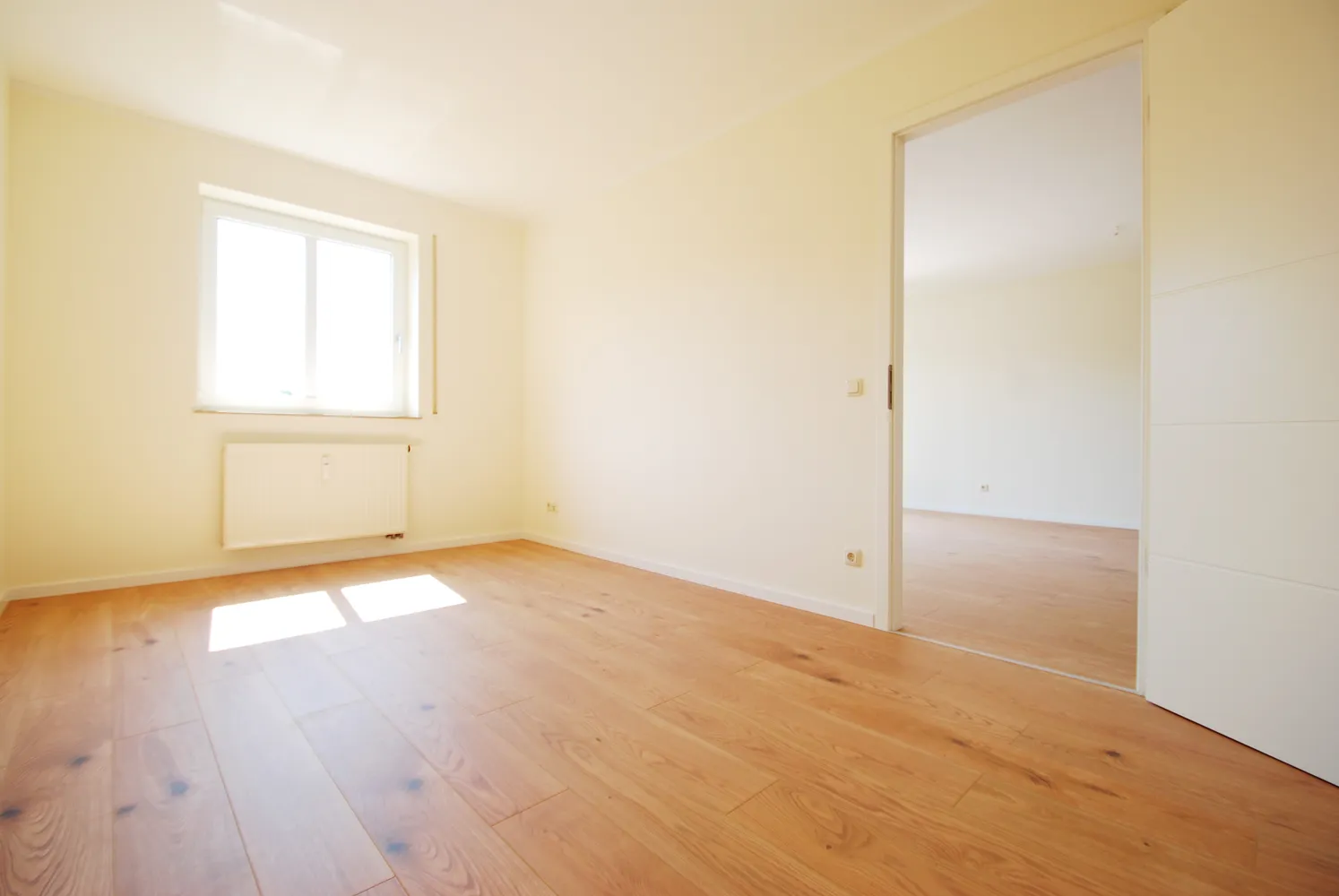 2 room apartment with 58 m² in Dresden – Photo 6