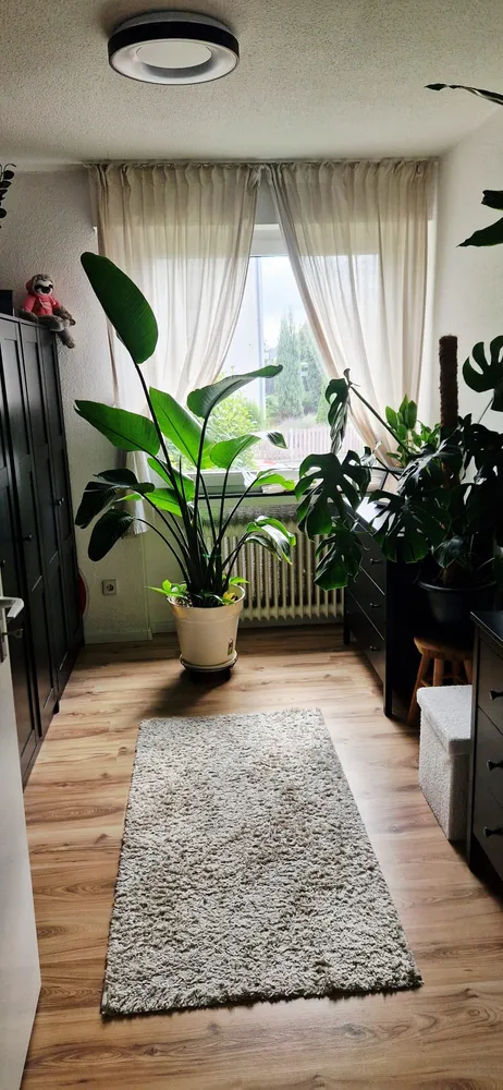 3 Zimmer Wohnung mit 71 m² in Dortmund – Bild 10