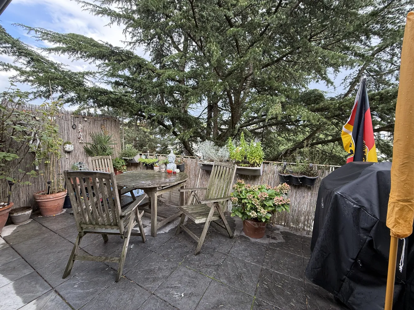 2 room apartment with 50 m² in Düsseldorf – Photo 3