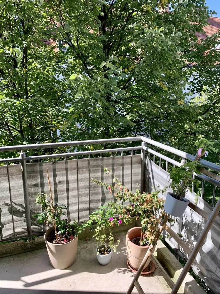 2 Zimmer Wohnung mit 45 m² in München – Bild 5