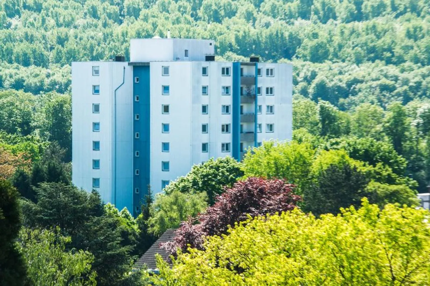 3 Zimmer Wohnung mit 73 m² in Grevenbroich – Bild 2