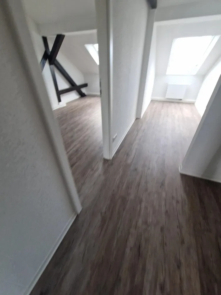 3 room apartment with 66 m² in Dresden – Photo 7