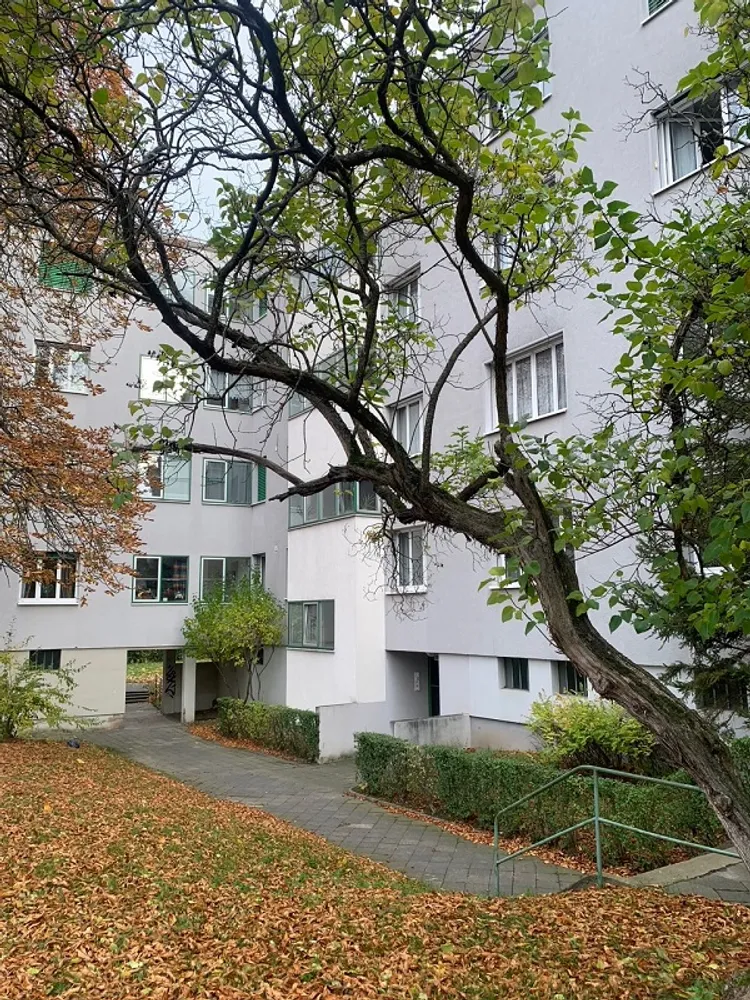 1 Zimmer Wohnung mit 32 m² in Leipzig – Bild 2