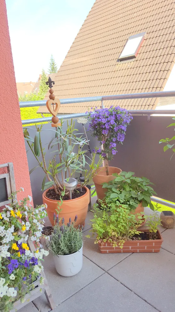 2 Zimmer Wohnung mit 58 m² in Rodgau – Bild 5