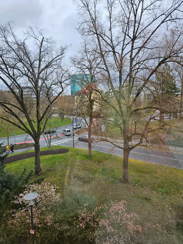 Shared room with 118 m² in Würzburg – Photo 6