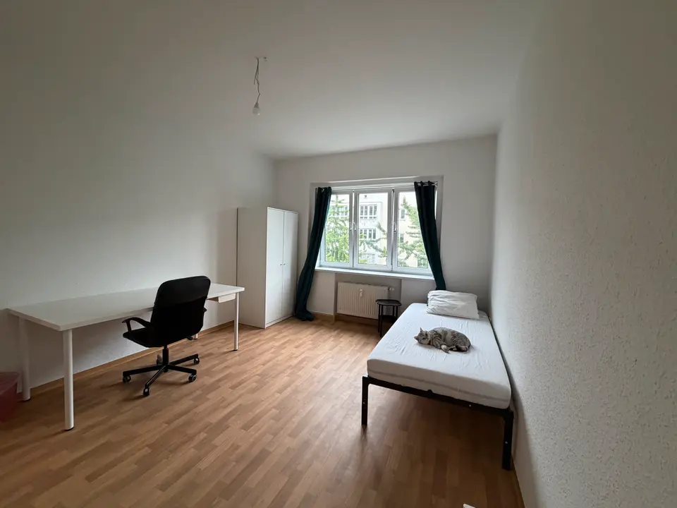 3 Zimmer Wohnung mit 59 m² in Dresden – Bild 6