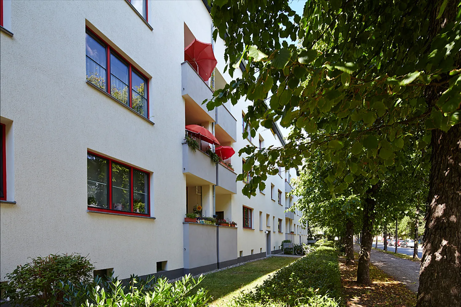 4 room apartment with 68 m² in Magdeburg – Photo 5
