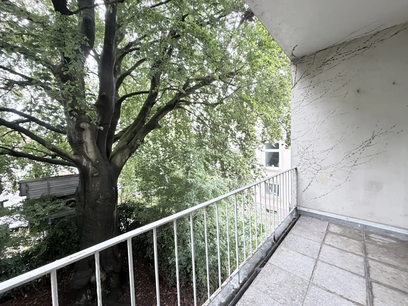 2 Zimmer Wohnung mit 51 m² in Wuppertal – Bild 1