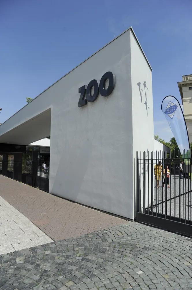 4 room apartment with 120 m² in Frankfurt am Main – Photo 3