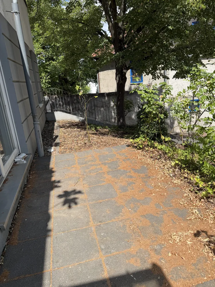 3 Zimmer Wohnung mit 76 m² in Mainz – Bild 12
