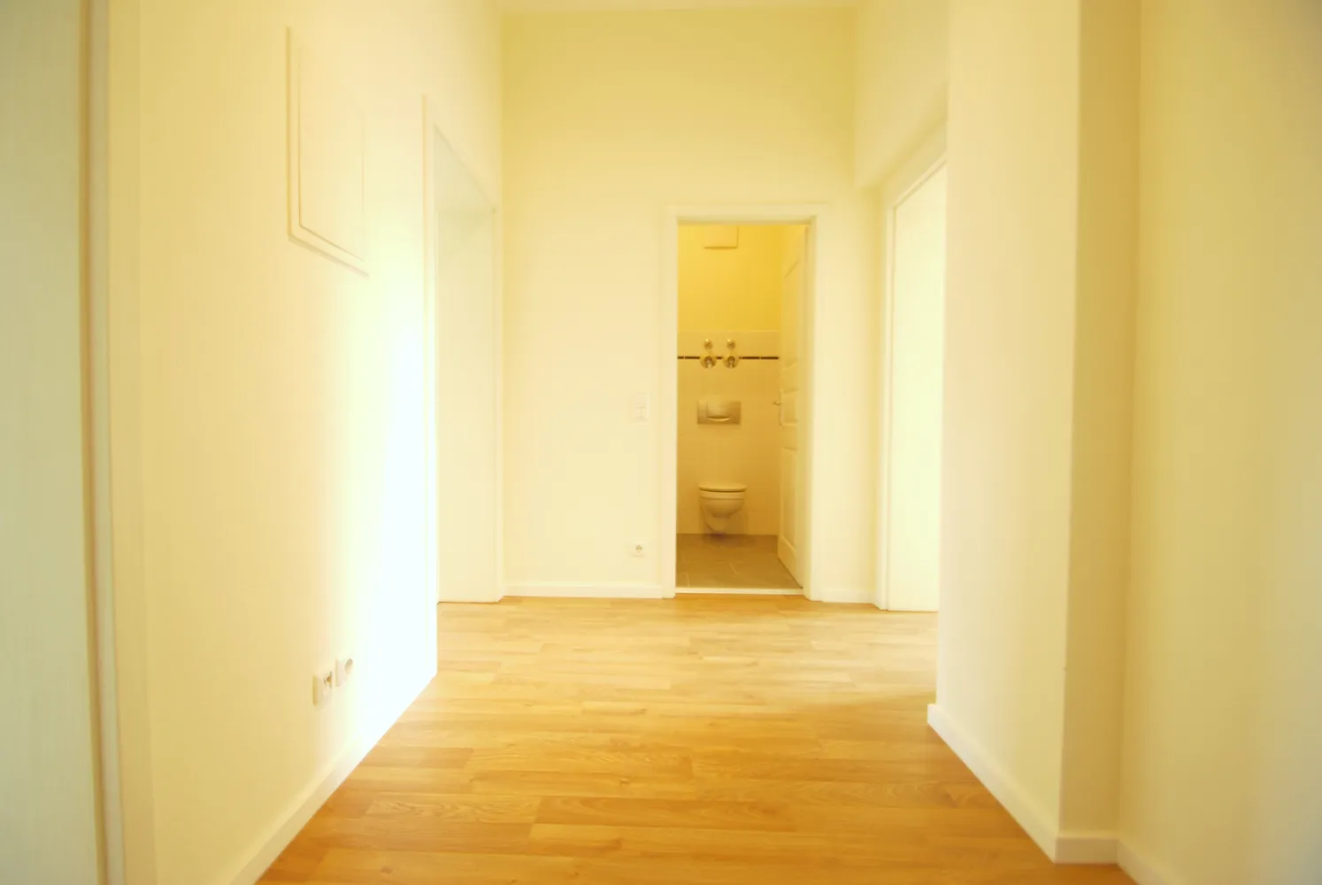 2 room apartment with 54 m² in Dresden – Photo 5