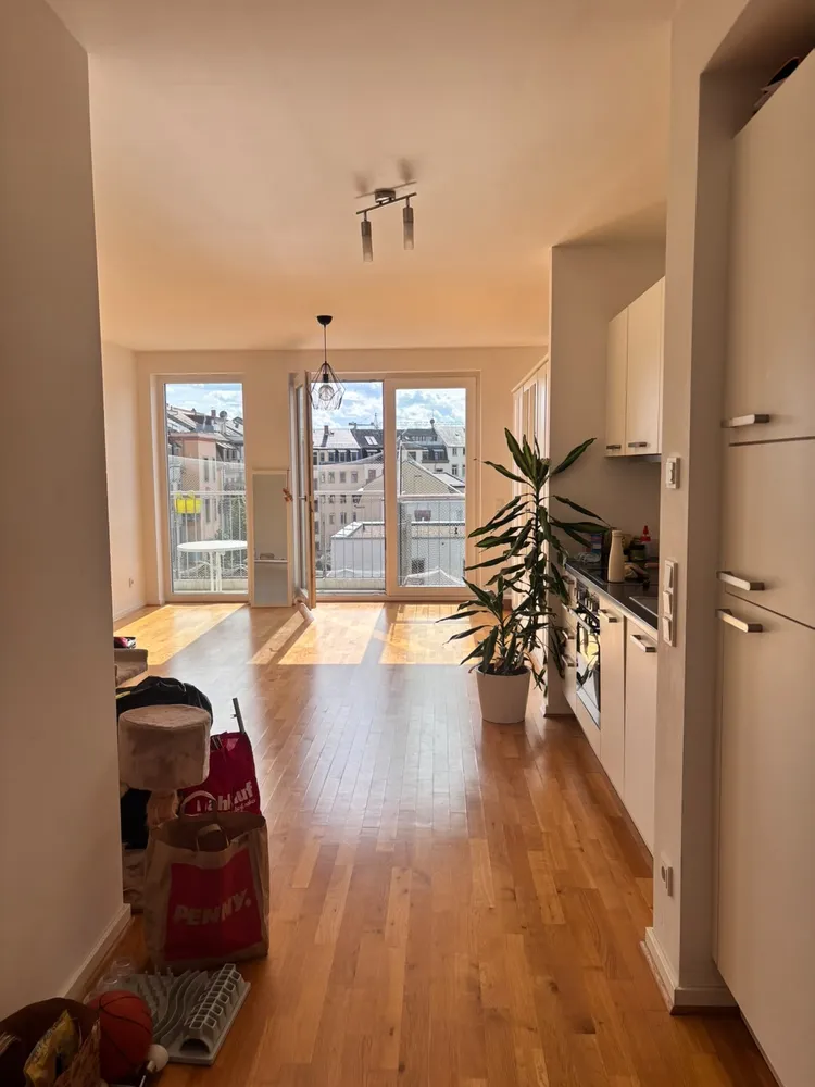 2 room apartment with 55 m² in Dresden – Photo 7