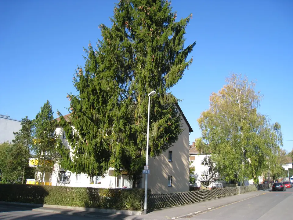 2 Zimmer Wohnung mit 60 m² in Wiesbaden – Bild 3