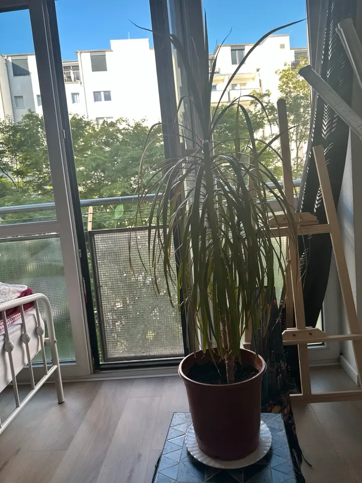 WG-Zimmer mit 60 m² in Berlin – Bild 9