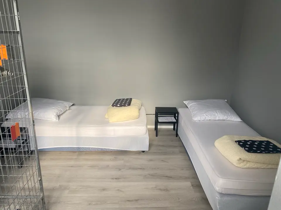 WG-Zimmer mit 25 m² in Offenbach – Bild 9