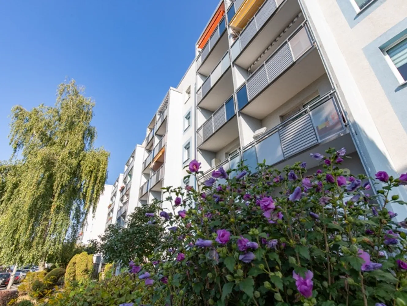 3 Zimmer Wohnung mit 57 m² in Magdeburg – Bild 3