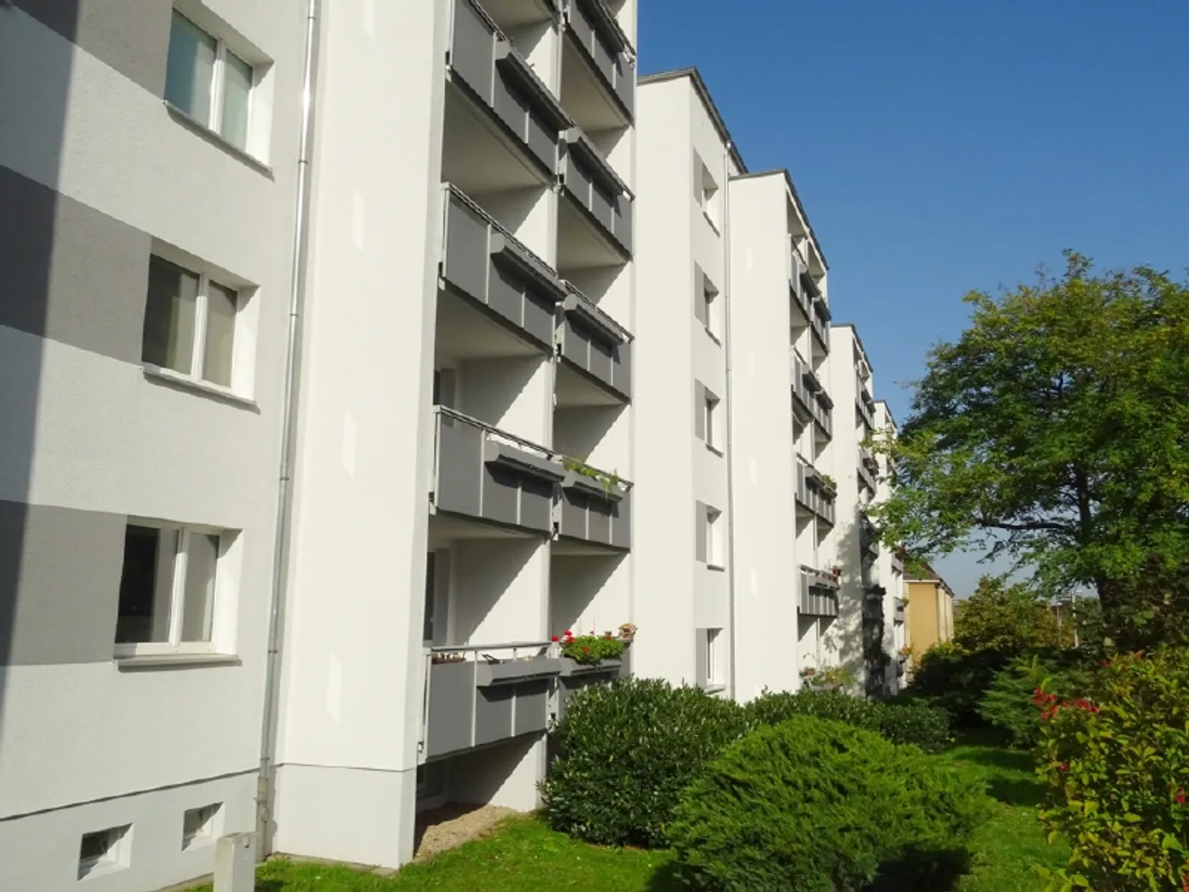 2 Zimmer Wohnung mit 53 m² in Dresden – Bild 1