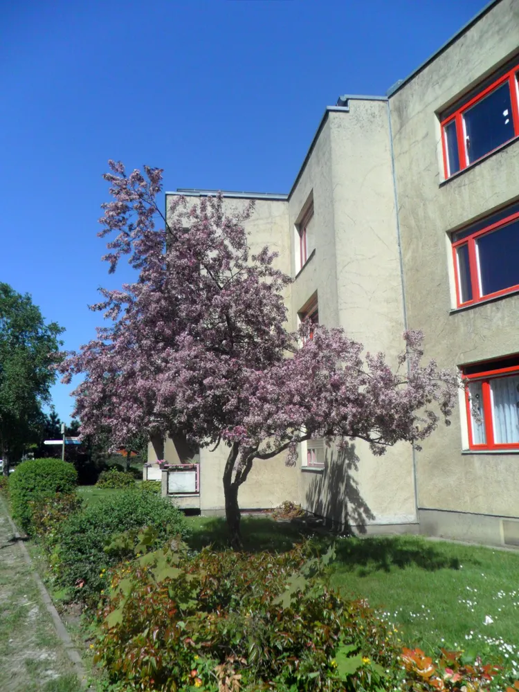 2 Zimmer Wohnung mit 67 m² in Berlin – Bild 1