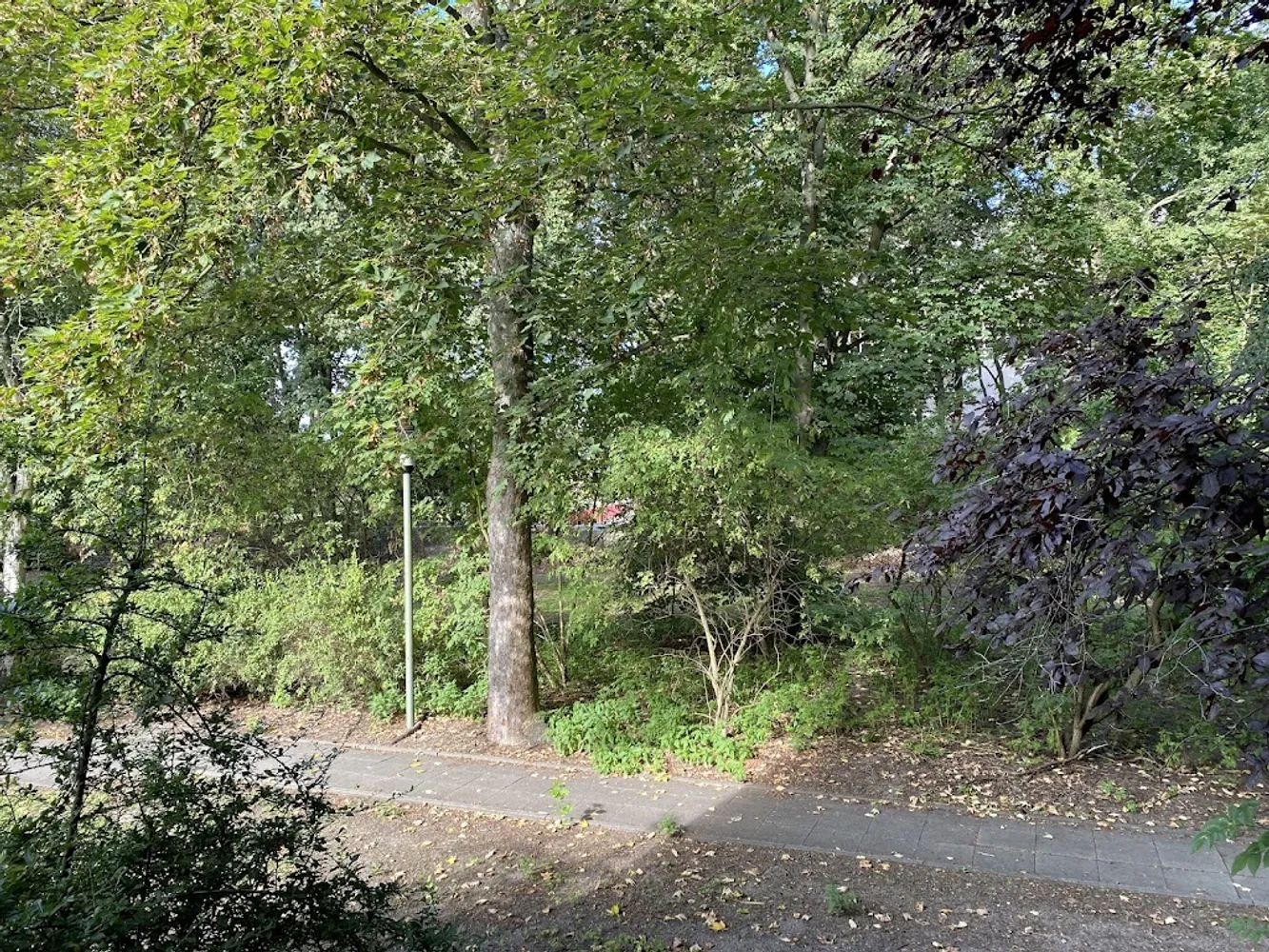 2 Zimmer Wohnung mit 55 m² in Berlin – Bild 3