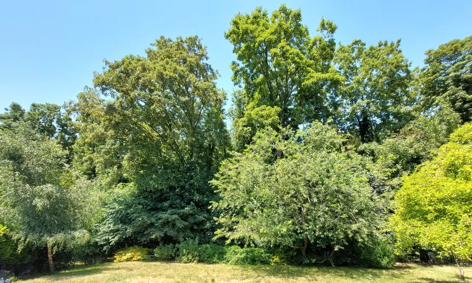 3 Zimmer Wohnung mit 110 m² in Kleve – Bild 1