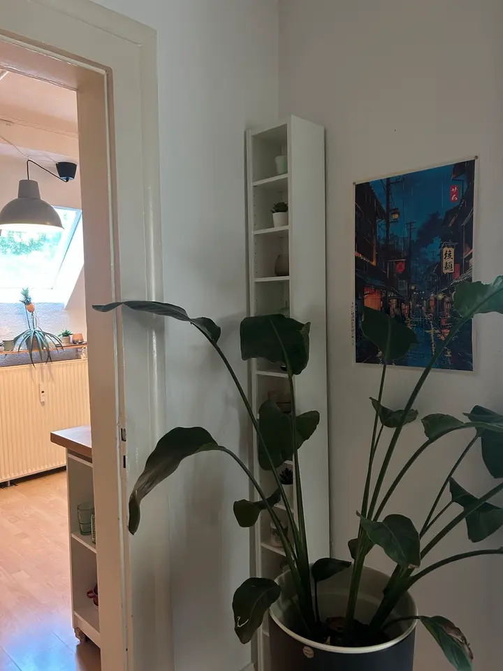 3 Zimmer Wohnung mit 60 m² in Osnabrück – Bild 9