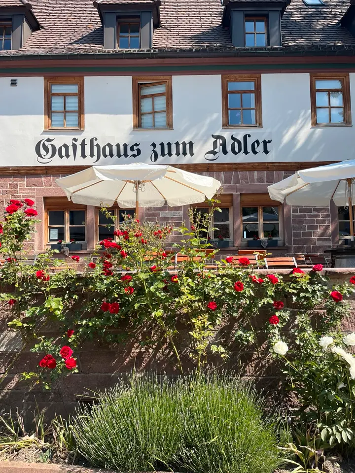 WG-Zimmer mit 240 m² in Calw – Bild 10