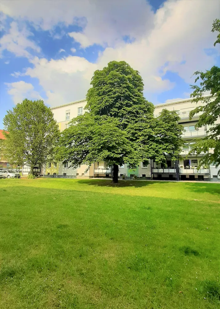 2 Zimmer Wohnung mit 50 m² in Dortmund – Bild 1