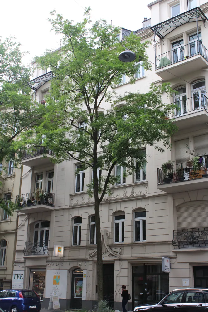 3 Zimmer Wohnung mit 88 m² in Wiesbaden – Bild 8