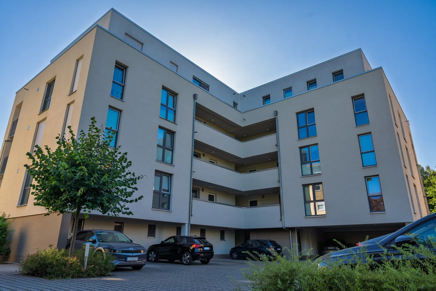 3 Zimmer Wohnung mit 88 m² in Dresden – Bild 2